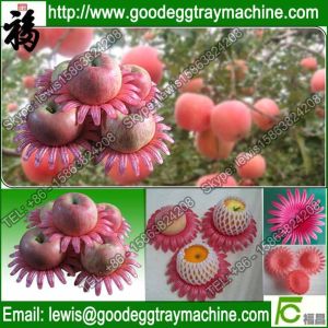 Buy cheap Plastic Crown petal for tomatoes packing from wholesalers