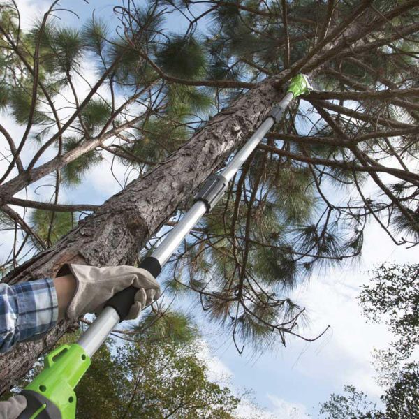 Quality side-attached Pruning Shears Secateurs Shrub Scissors High Branch Scissors Pruner Long Reach Chainsaw for sale