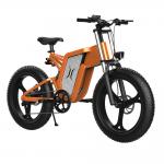 Buy cheap 1000W/2000W Unisex Ridstar E Bike Electric Touring Bike  Heavy Duty from wholesalers