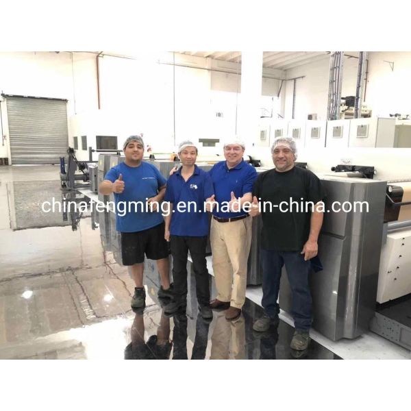 Buy cheap Petal Type Flexographic Printing Equipment Multicolor Hamburger Box With 1/8cp Gearing from wholesalers