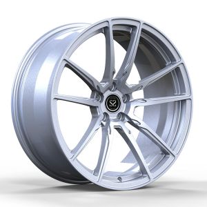 20x9.5 ET35/20x10.5 ET35/5x114.3/64.1 Gloss Silver Custom Forged Rims For Tesla