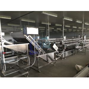 Fully Automatic Bubble Cleaning Machine Shrimp High Efficiency Industrialized