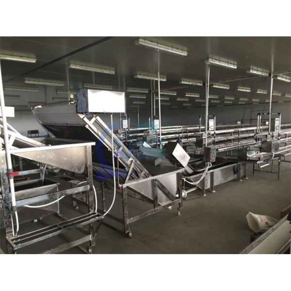 Fully Automatic Bubble Cleaning Machine Shrimp High Efficiency Industrialized