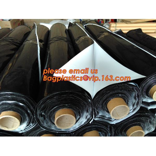 compostable mulch biodegradable film with good price with EN13432 / BPI / OK