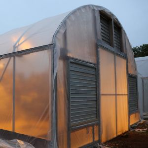 Buy cheap 9x32 Agricultural Transmission Shady Automatic Blackout Tunnel Greenhouse from wholesalers
