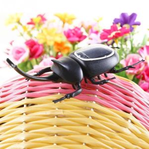 Durable Compact Solar Beetle Educational Toys For Kids Learning