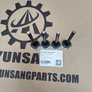Buy cheap Hyunsang Excavator Parts Intake & Exhaust Valves For V2203 Engine from wholesalers