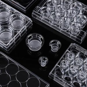 Laboratory Experiment Well Volume 2.6ml Cell Insert