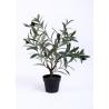 Buy cheap 50CM Fake Olive Tree Plant Preserved Tree Trunks Timeless Beauty No Watering from wholesalers
