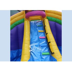 Buy cheap Backyard Rainbow Commercial Inflatable Water Slides with Pool , Double Lane from wholesalers