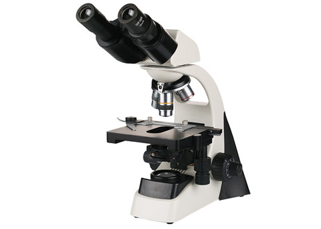 Binocular Digital Microscope With Screen 40X 1000X Phase Contrast Light