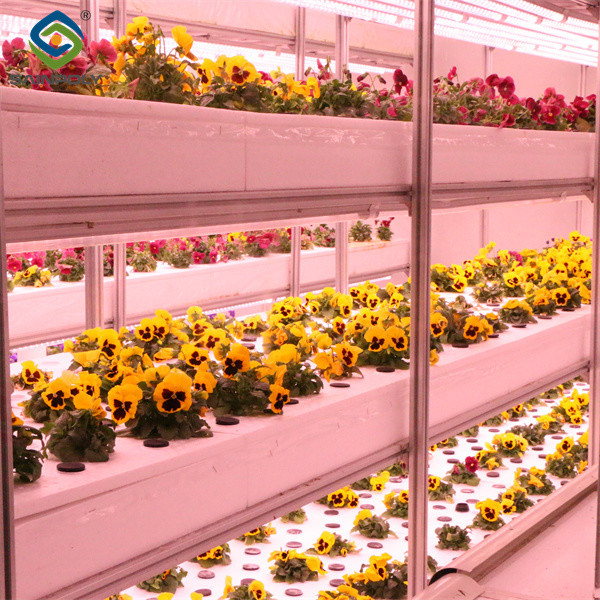 Quality Toughened Clear Glass Flower Greenhouse Customized With Automatic Systems for sale