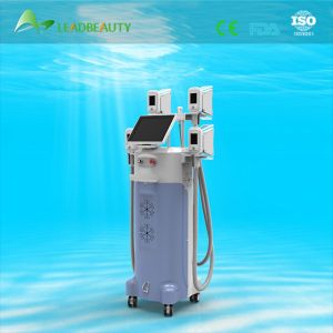 Buy cheap Perfect effect slimming machine cryolipolysis fat freezing equipment from wholesalers