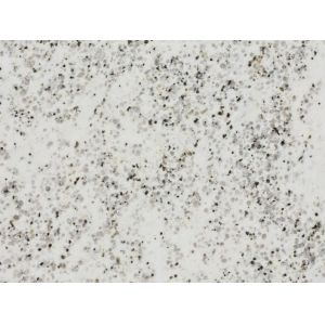 Regular Specification White Plateau Snow Granite Kitchen Wall Living Room Floor