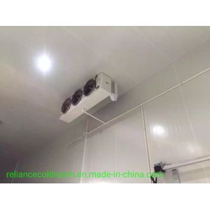 Buy cheap Customized Request Cold Room for Fish and Meat Storage Temperature Range -10-0C 3 Tons from wholesalers