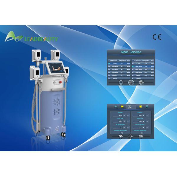 Quality CE approved 0.1 Celsius adjustable fat freezing cryolipolysis for sale