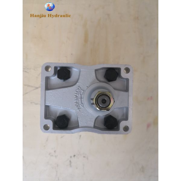 Quality FORD  FIAT C42X Main Pump 5179726, 5129493, 5169041 for sale