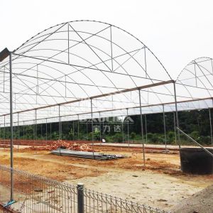 Buy cheap Continuous Structure Multiple Bays Connected Multi Span High Tunnel Greenhouse from wholesalers