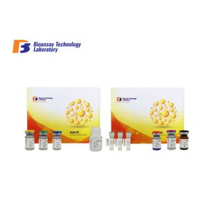 Buy cheap Rat ELISA Assay Kit High Precision Fbg Sandwich Immunosorbent Assay Kit With Customized Service from wholesalers