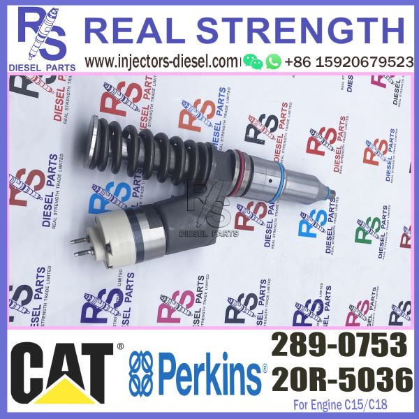 Diesel Engine Injector 289-0753 20R-5036 For Caterpillar C15/C18 Common Rail