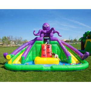 Buy cheap Octopus Jumping Bouncer Inflatable Bounce House With Water Slides from wholesalers