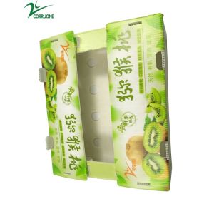 Buy cheap Reusable Vegetable Corrugated Boxes with Lockable Lid from wholesalers
