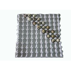 Buy cheap Pulp molding machine for Disposable White Paper Molded Quail Egg Carton / Egg Tray with 90 Cavities from wholesalers