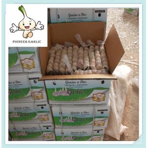 Buy cheap new wholesale garlic with best price china garlic price garlic from wholesalers