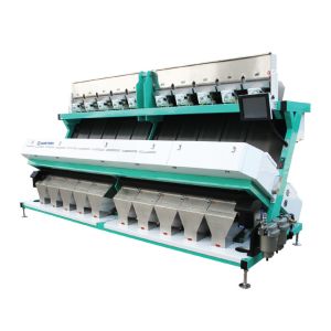 Buy cheap Large Output Colour Sorting Machine Intelligent CCD Camera For Nut Seed from wholesalers