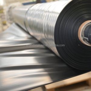 Buy cheap Cross Categories Consolidation HDPE Geomembrane Pond Liner 0.5 mm 1 mm 1.5 mm for Mine from wholesalers