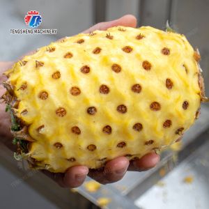 Buy cheap Melon and fruit double head with single cutter peeling machine pineapple Peeling papaya chieh qua pumpkin wax gourd Taro from wholesalers