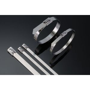 Buy cheap Heavy Duty Stainless Steel Cable Ties Self Locking 10 Inch Zip Ties 50pcs / Pkt from wholesalers