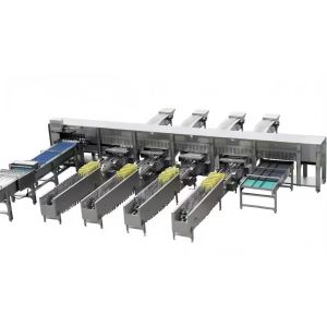 Buy cheap Industrial Chicken Egg Washing Machine Automatic Chicken Egg Processing Line from wholesalers