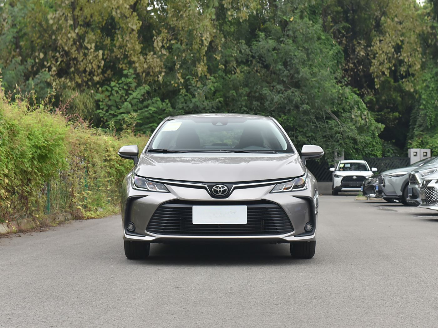 2024 Popular Used Cars Compact Car with Gasoline Energy Type and with 5.41 L