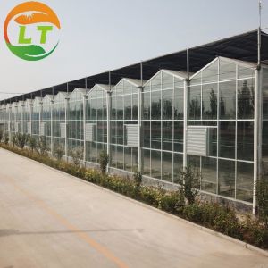 Buy cheap Quick Construction Vegetables Growing Greenhouse with Complete Multi Span Design from wholesalers