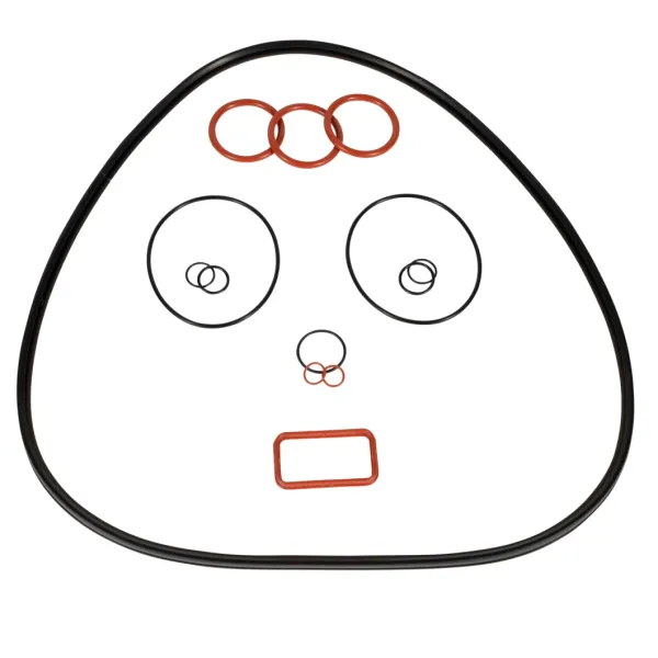 Hydraulic Mechanical Pump Valve Variseal PTFE Carbon Praphite Peek Double Lip Piston Rod Rotary Oil Spring Energized Seal