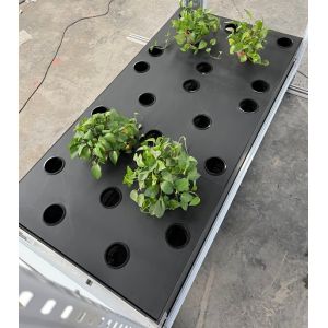 China 5ft*15ft Cannabis Aeroponics Growing System 40pcs Holes For Vertical Rack on sale