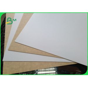 450gsm ISO Certified Clay Coated Kraft Back Food Grade Paper Roll / White Liner