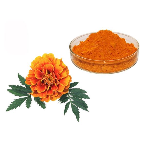 Quality Natural Pigment Xanthophyll Marigold Flower Herbal Extract Powder for sale