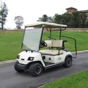 Buy cheap Electric Golf Scooter 6 8 Seats Hunting 2 4 Seater With Curtis Controller from wholesalers