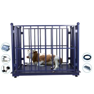 2*3M Digital 10T Cattle Weighing Scales With Frame