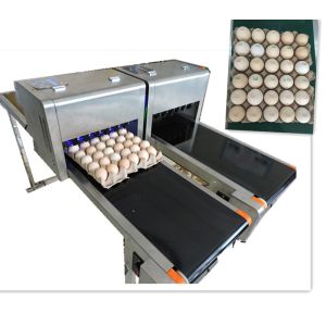 Buy cheap 600DPI Egg Jet Printer / Food Inkjet Printer With Thermal Foam Type Nozzle from wholesalers