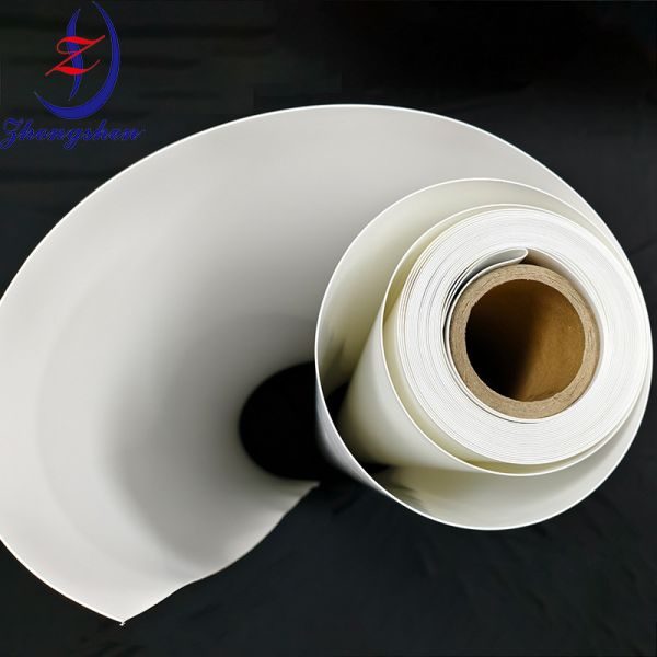 Quality Premium Quality Manure Transfer Belts for Poultry Farm Types for sale