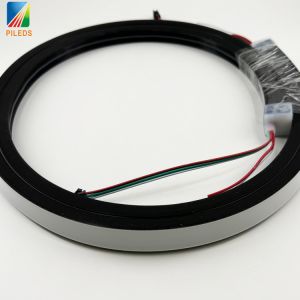 Unique Black Silicone LED Neon Strip 20*20mm SPI-RGB Dotless Waterproof IP67 LED
