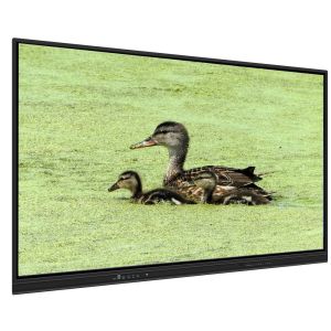 Buy cheap All In One Interactive Whiteboard 65 Inch Android 14 15 8+128G Teaching Meeting Software 50 Touch Points Light Sensor Speakers App Store Built-in For from wholesalers