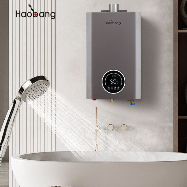 Gas Pressure NG 2000Pa /LPG 2800Pa Forced Exhaust Gas Water Heater With Overheat