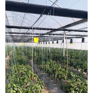 Buy cheap Single Span Greenhouse 8-12m Wide with 90mph Wind Resistance from wholesalers