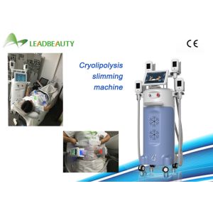 Buy cheap Promotion fat freeze slimming machine / new design body slimming machine from wholesalers