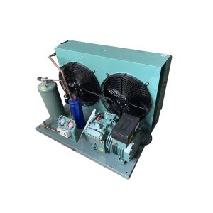 Buy cheap 4EES 4 4EES 4Y Air cooled condensing unit for frezeer and refrigerator with Bitzer compressor from wholesalers
