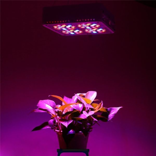 Quality real power 130W Apollo4 led grow light lamp for plants growing in home & garden. CE/RoHS/P for sale